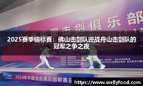 2025赛季锦标赛：佛山击剑队迎战舟山击剑队的冠军之争之夜